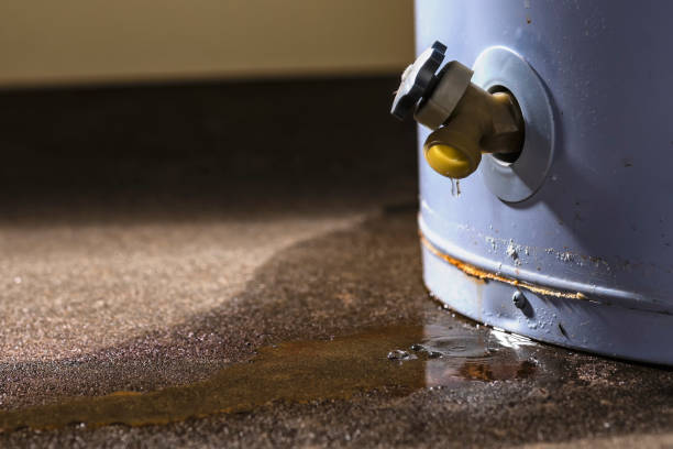 Best Carpet water damage restoration  in Ralls, TX