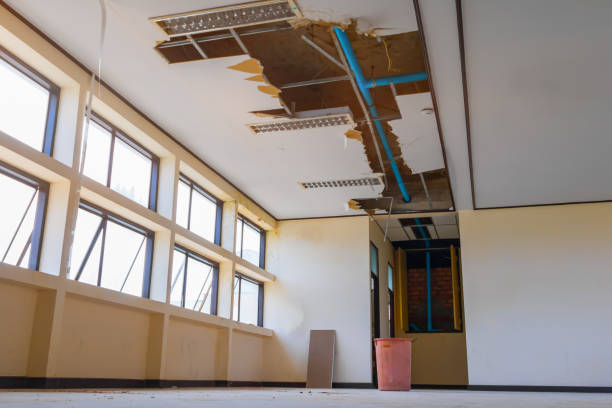 Best Flood damage cleanup  in Ralls, TX