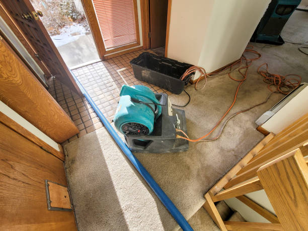 Best Water damage contractors near me  in Ralls, TX