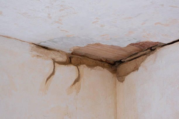 Best Residential water damage restoration  in Ralls, TX